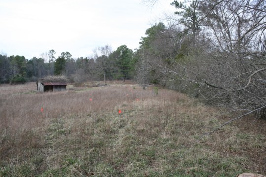 View of the driveway, flagged for gravel