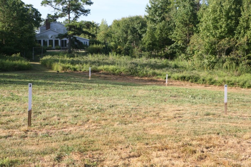 Empty Rows (South View)