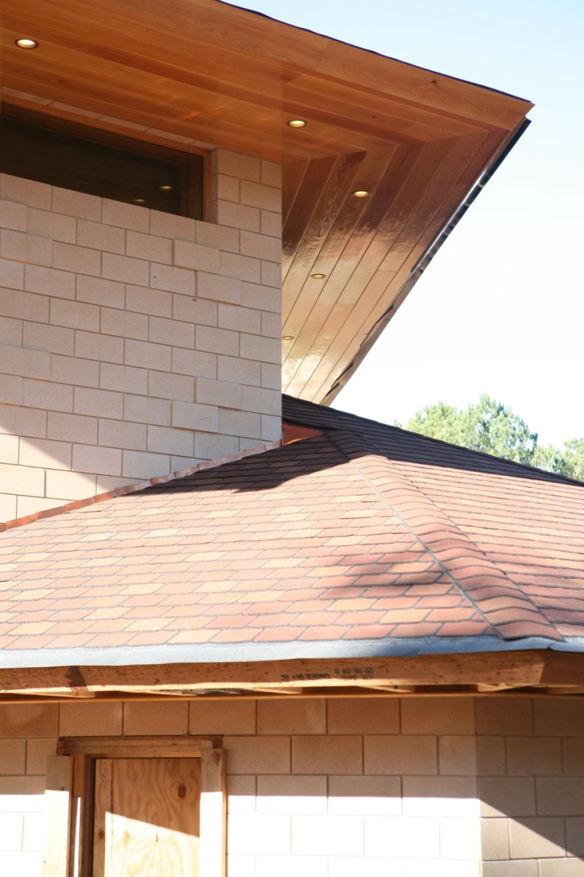 HeadScratcherFlashed