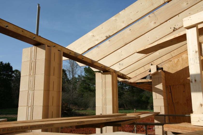 LoggiaBirdsmouthsBackside